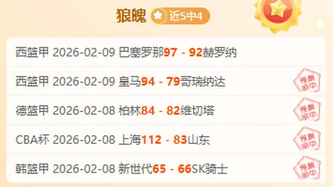 “羽毛球传奇马林生涯终章将至！‘西班牙羽毛球之母’故乡举行告别盛典！”